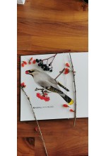 Photo from customer for Saunders A5 14x20 [5.5x7.8in] 100% COTTON Sketchbook