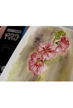 Photo from customer for PRO Saunders B5 17x25 [6.9x9.8in] 100% Cotton Sketchbook